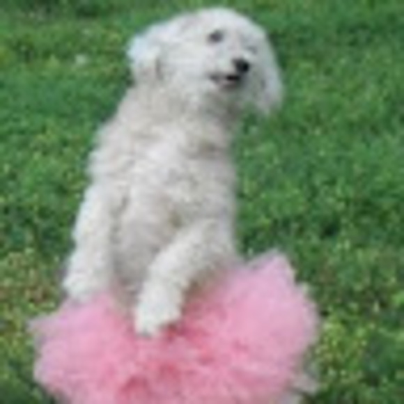 Meet your Posher, Kim - Picture 1 of 1